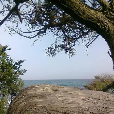 Conzola Sardegna Calaliberotto Orosei 4 Appartamento *